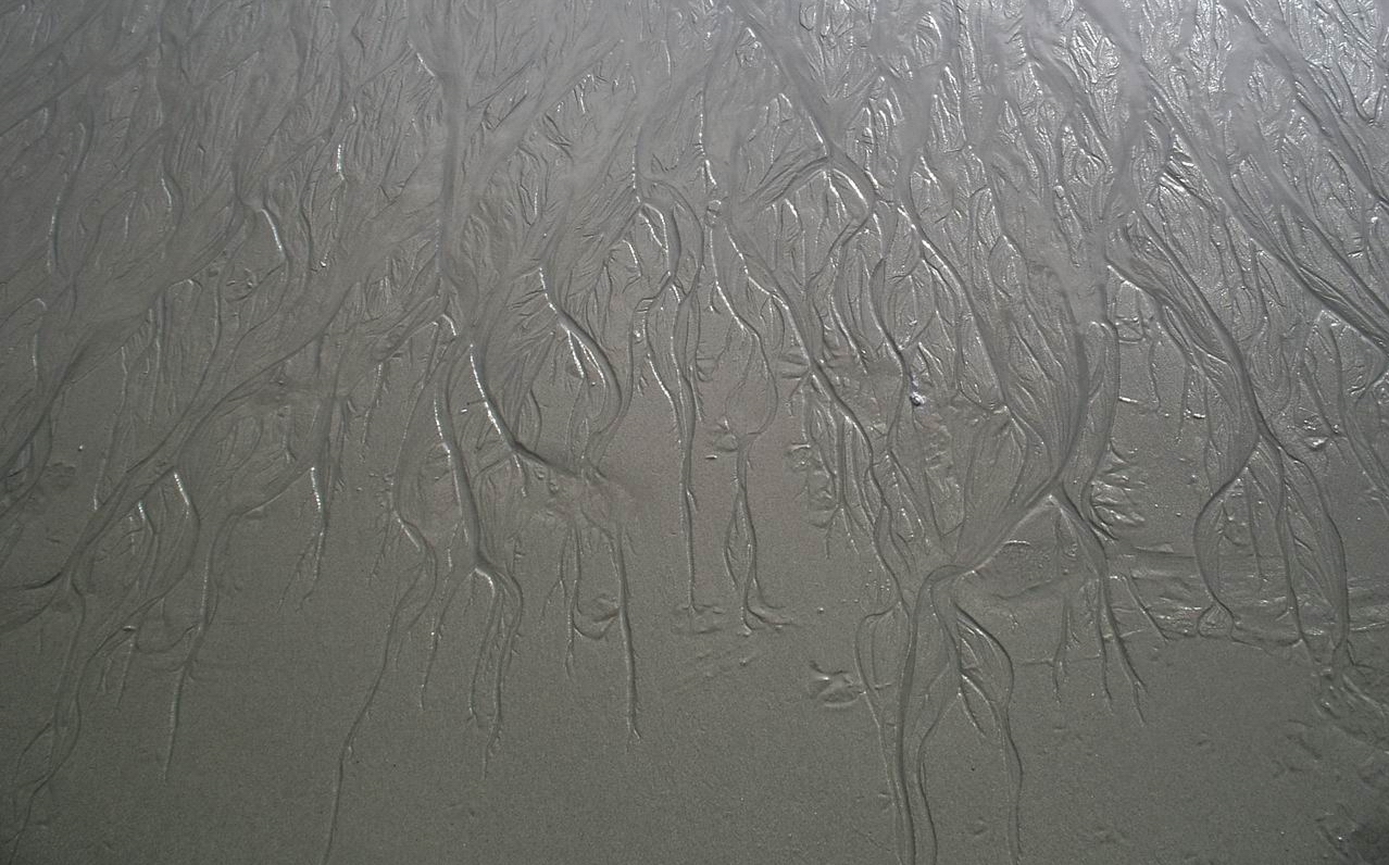 Close-Up_of_Santa_Monica_beach