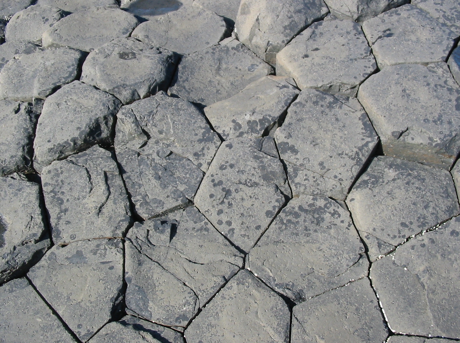 Giant's_Causeway_2006_21.jpg